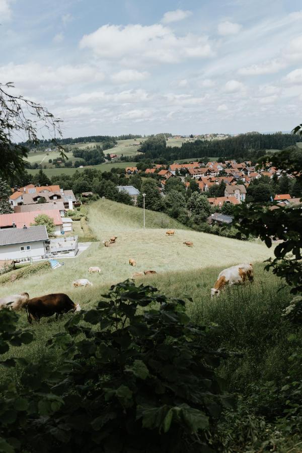 Ferienwohnung Alpenblick I Kamin I Private Sauna Wangen im Allgäu Exterior foto